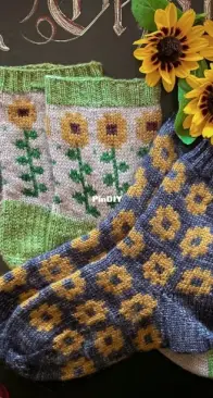 Field of Sunflowers sock set by Stone Knits